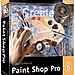 paint shop pro